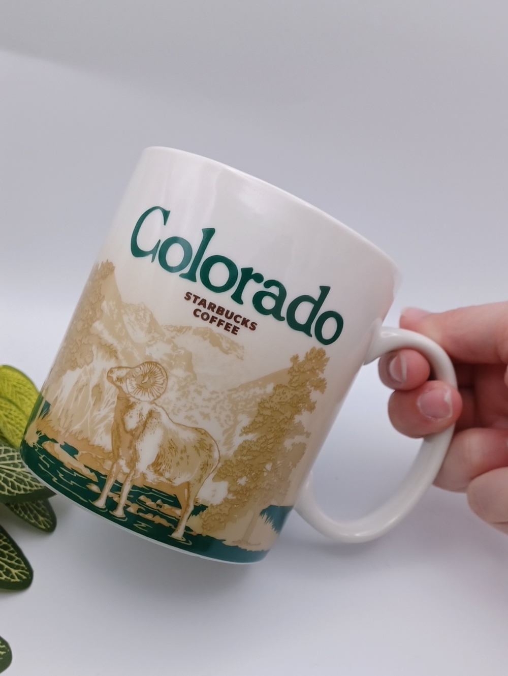 Starbucks Colorado Mug